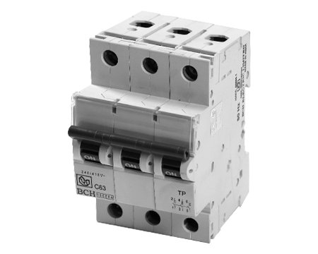 BCH BCH miniature circuit breakers, reference MCB